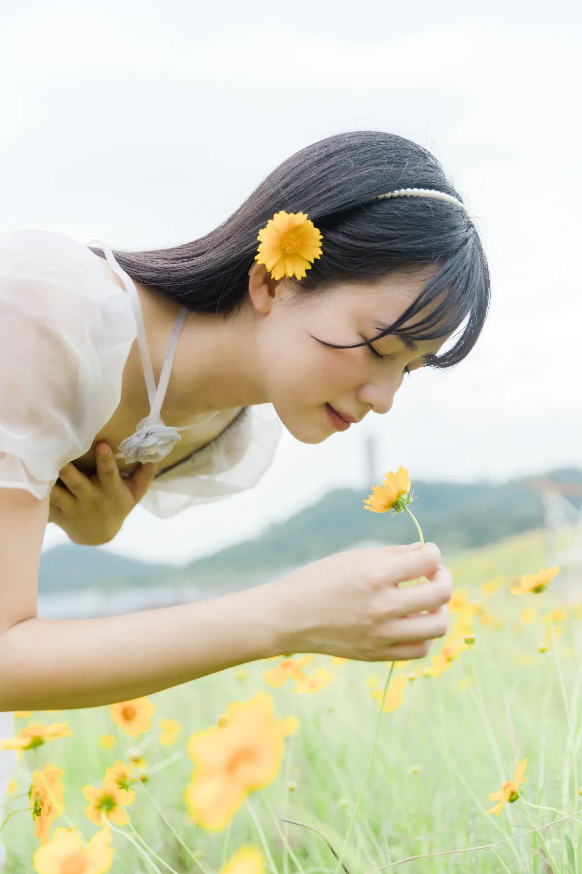 夏天的小黄花1