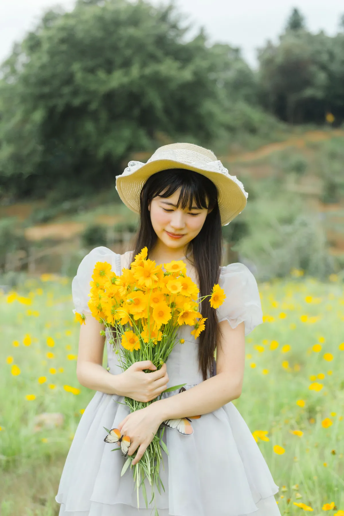 夏天的小黄花3