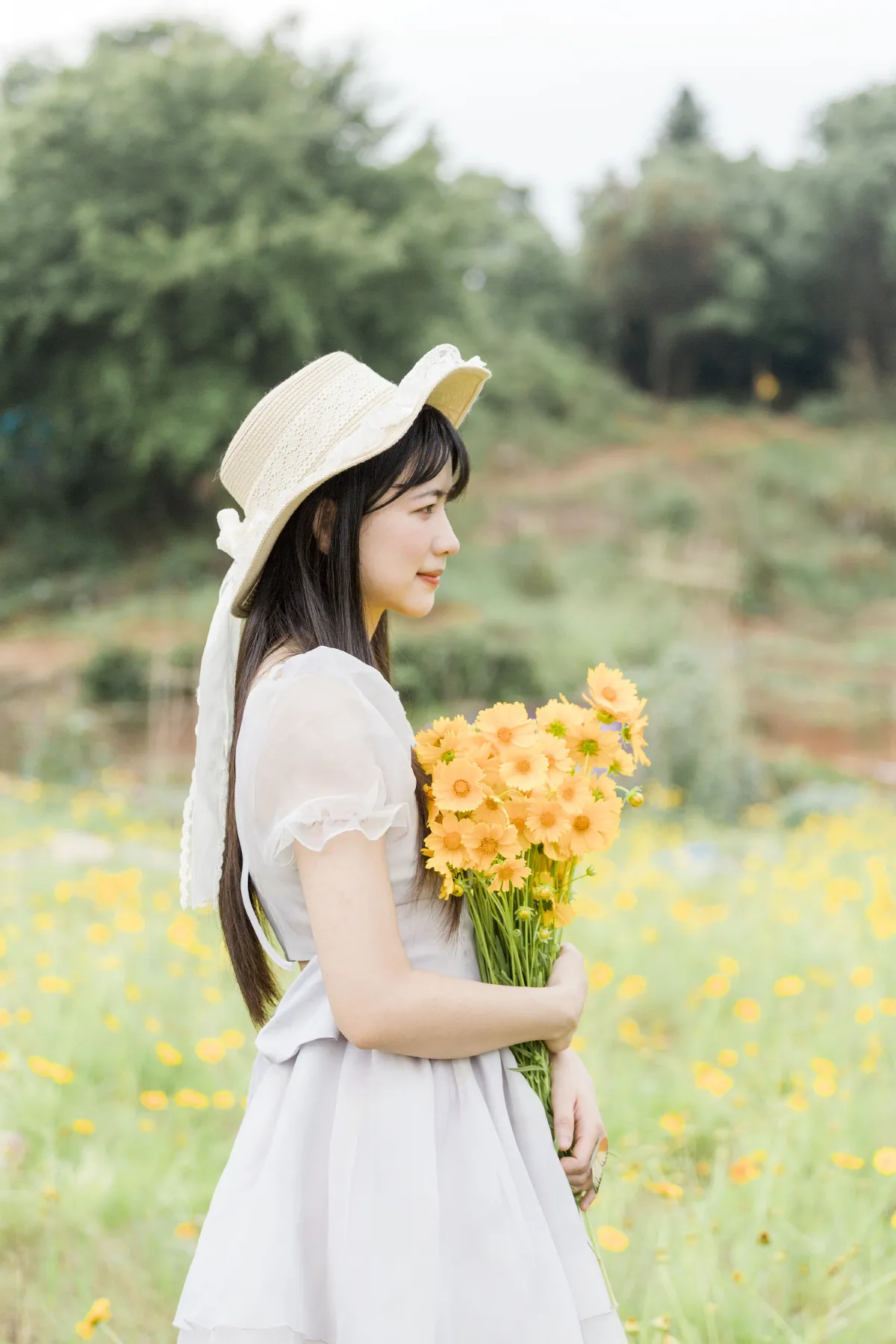 夏天的小黄花4