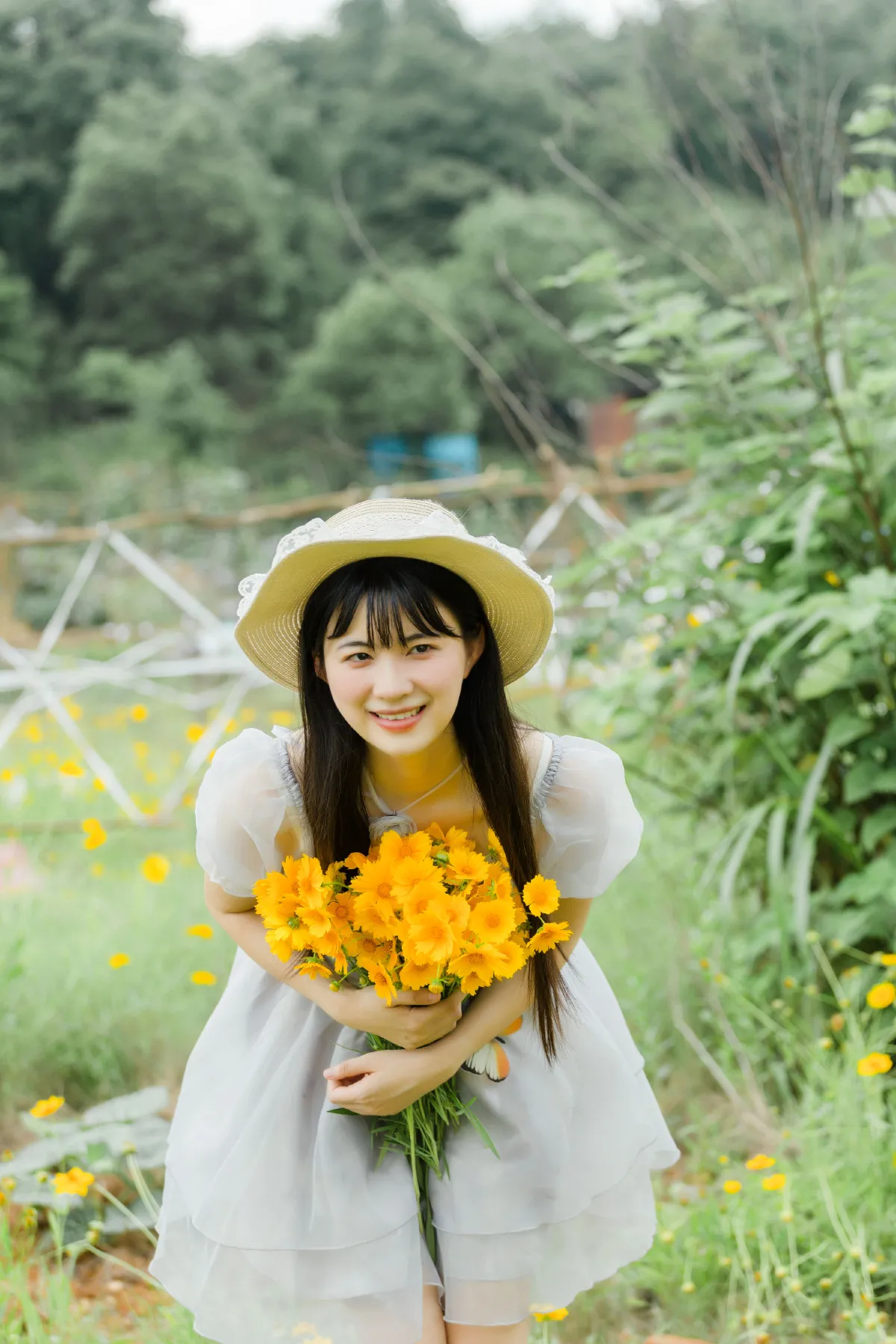 夏天的小黄花5