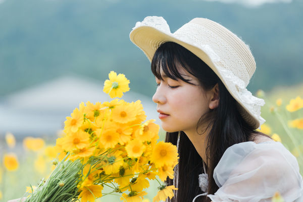 夏天的小黄花