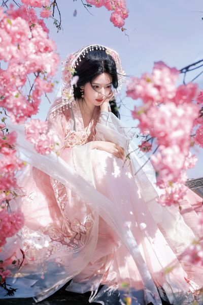 我拍到了种田文女主