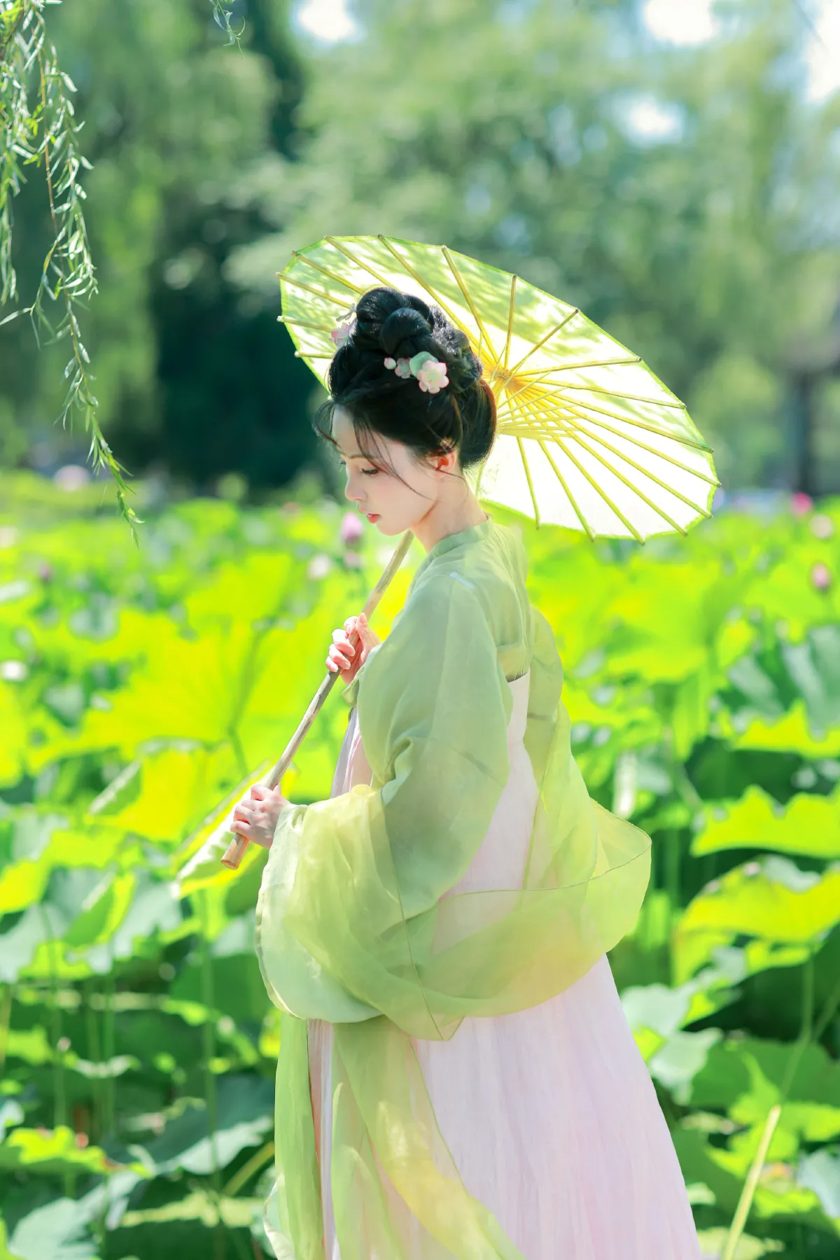 绿荫浓，夏日长1