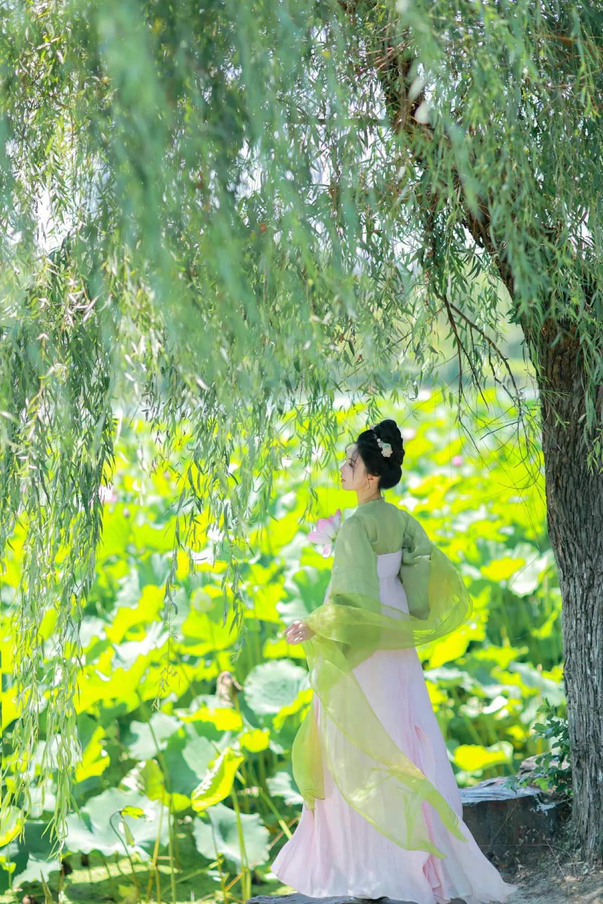 绿荫浓，夏日长