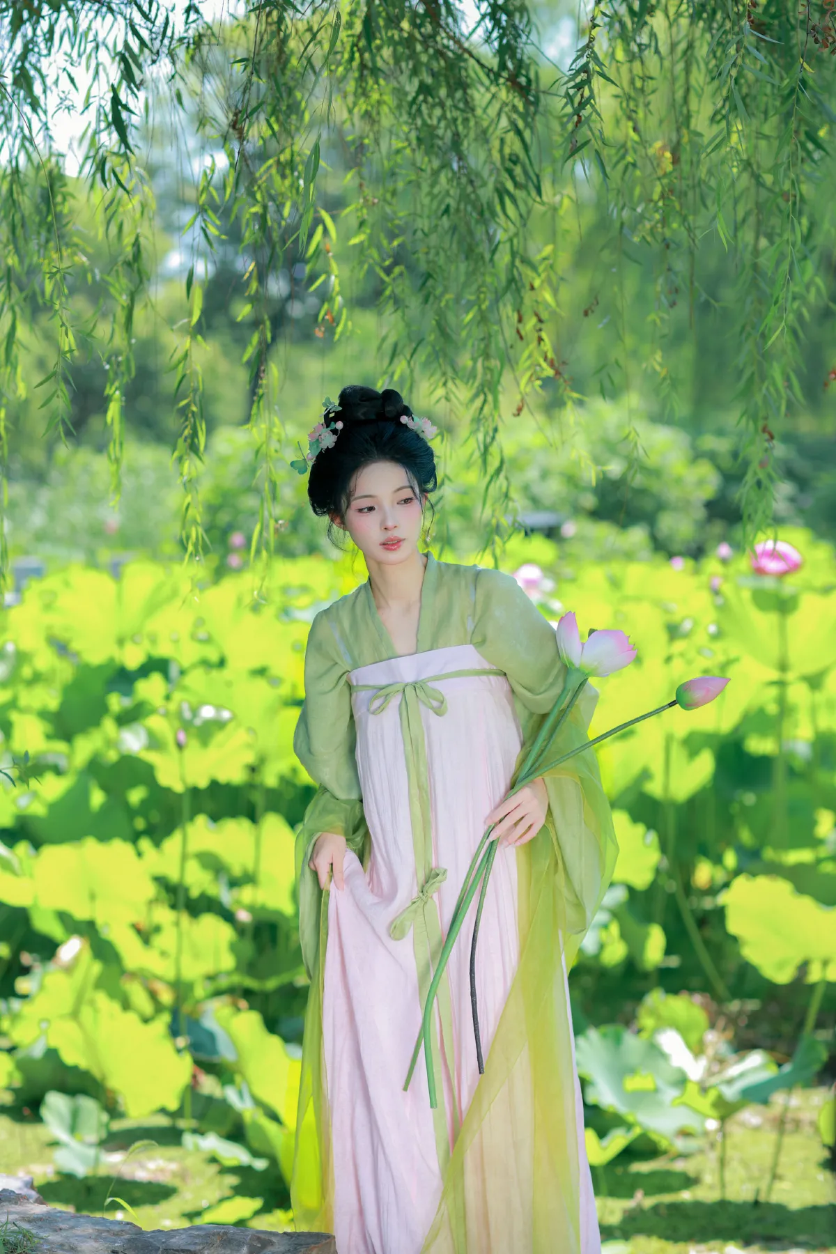 绿荫浓，夏日长3