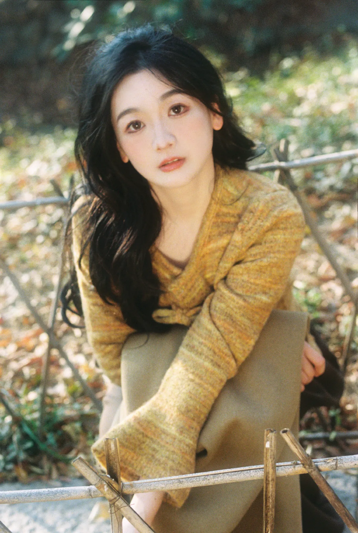 秋天4