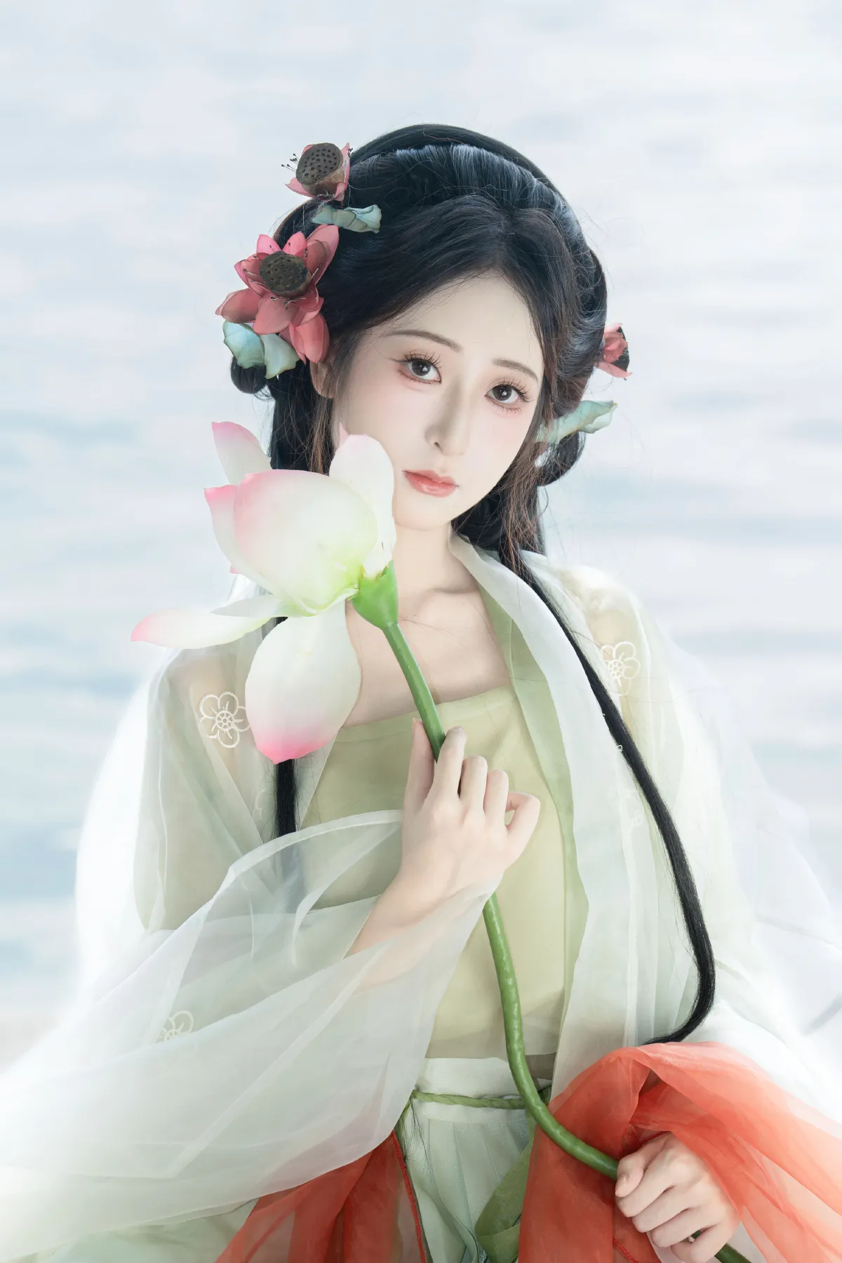 荷花如画3