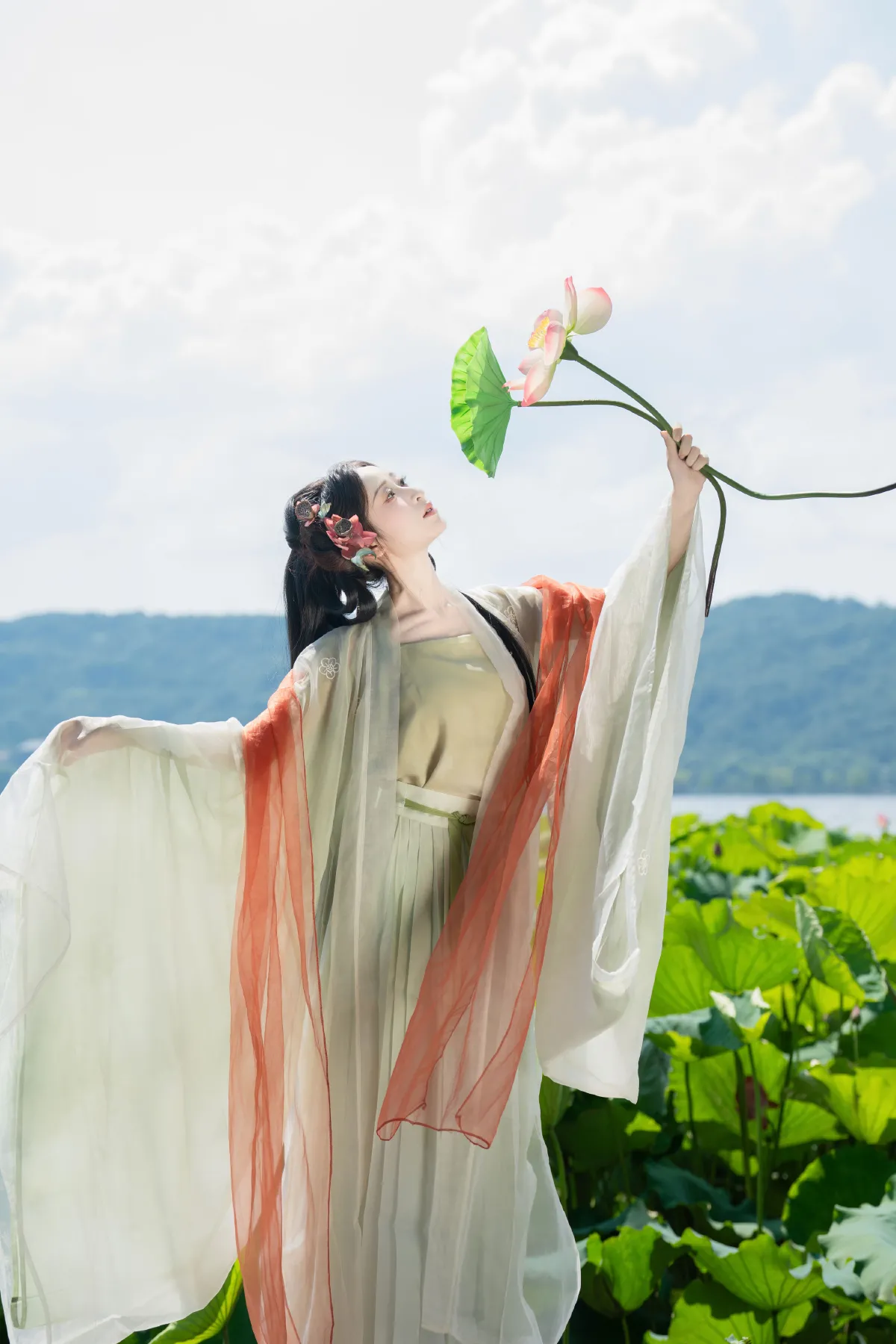 荷花如画4