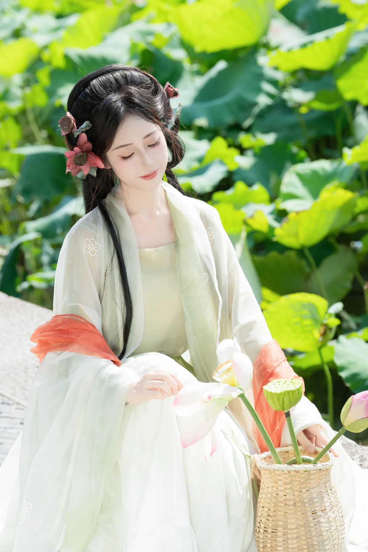 荷花如画5
