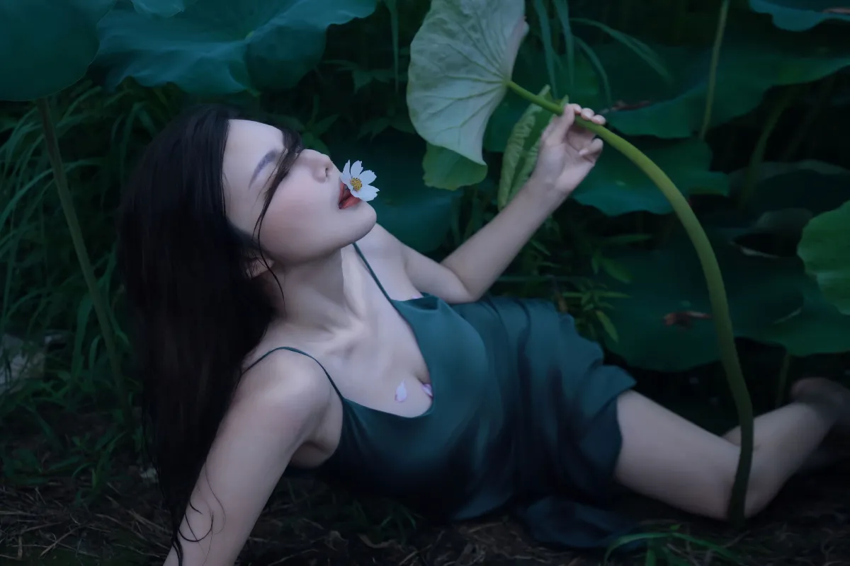 碧罗栽夏2