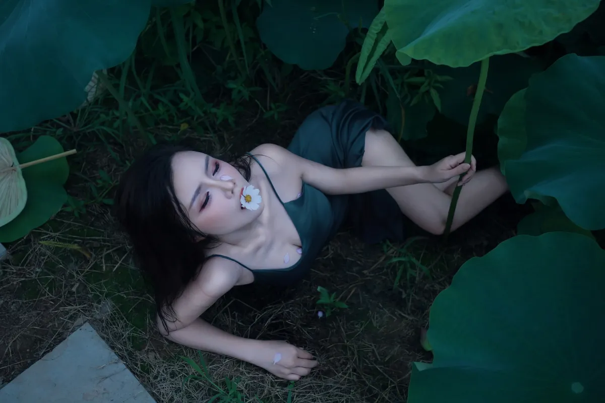 碧罗栽夏3