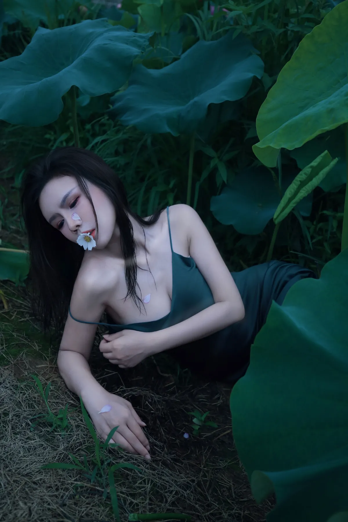 碧罗栽夏4