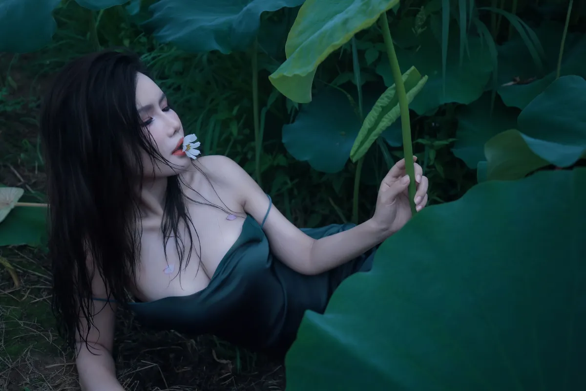 碧罗栽夏5
