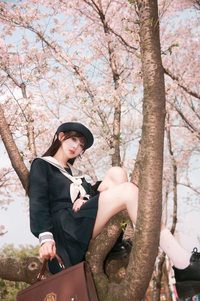 愿望的樱花