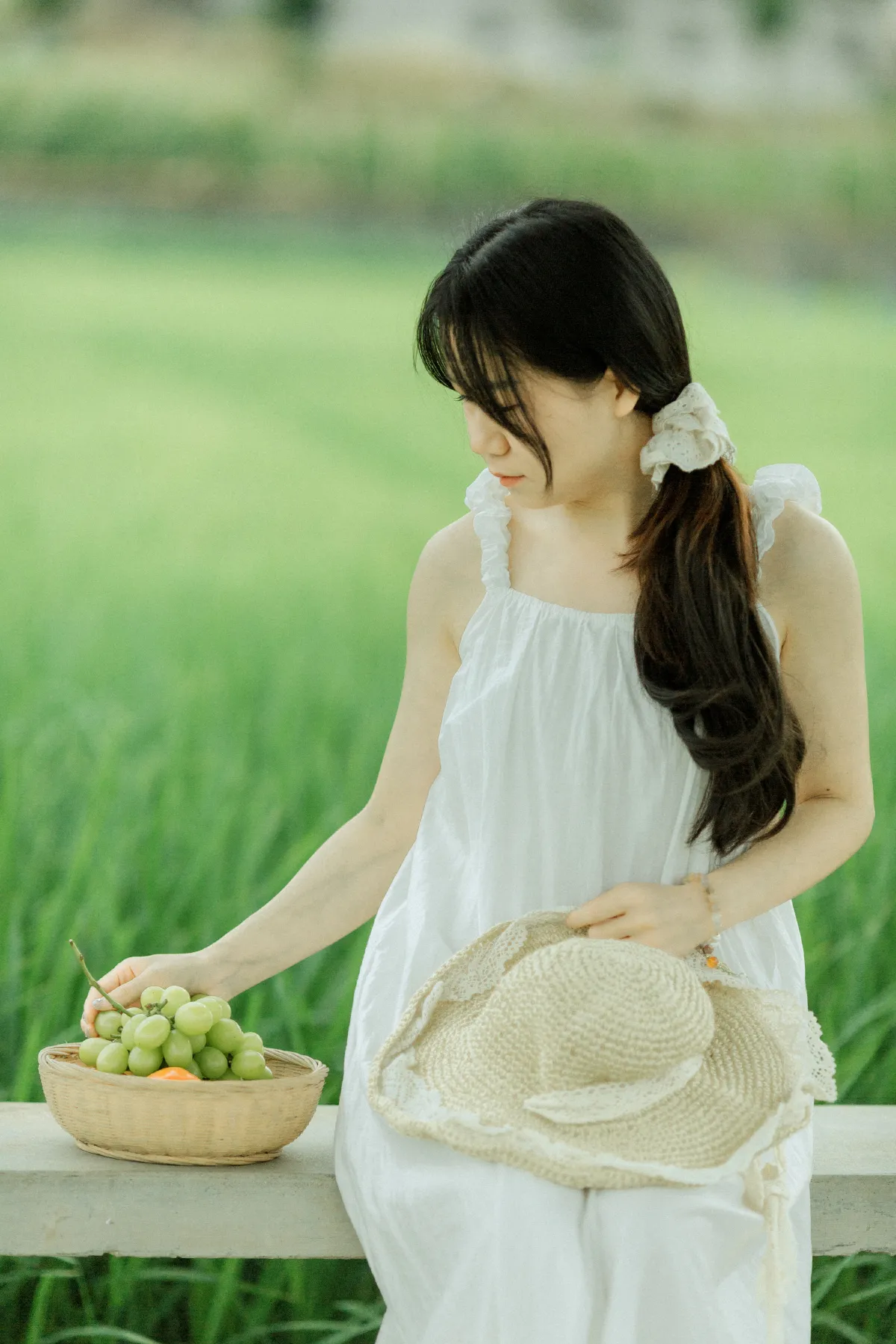 稻花香2