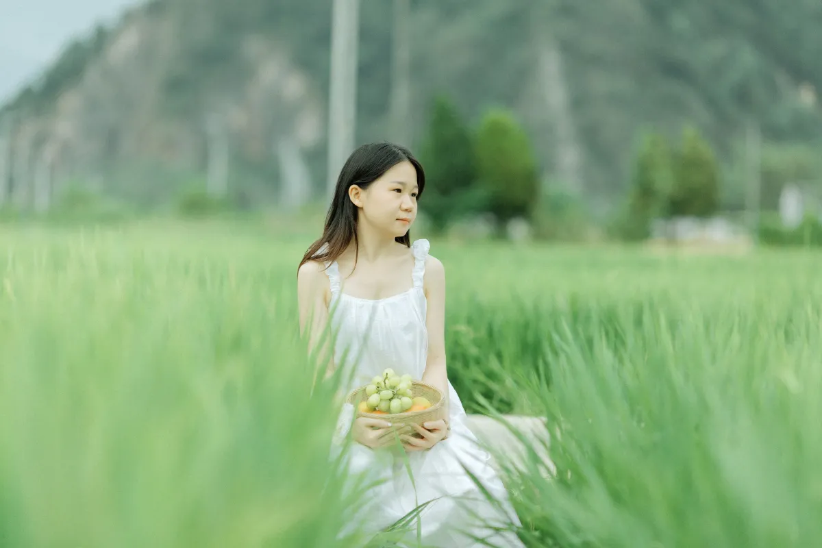稻花香5