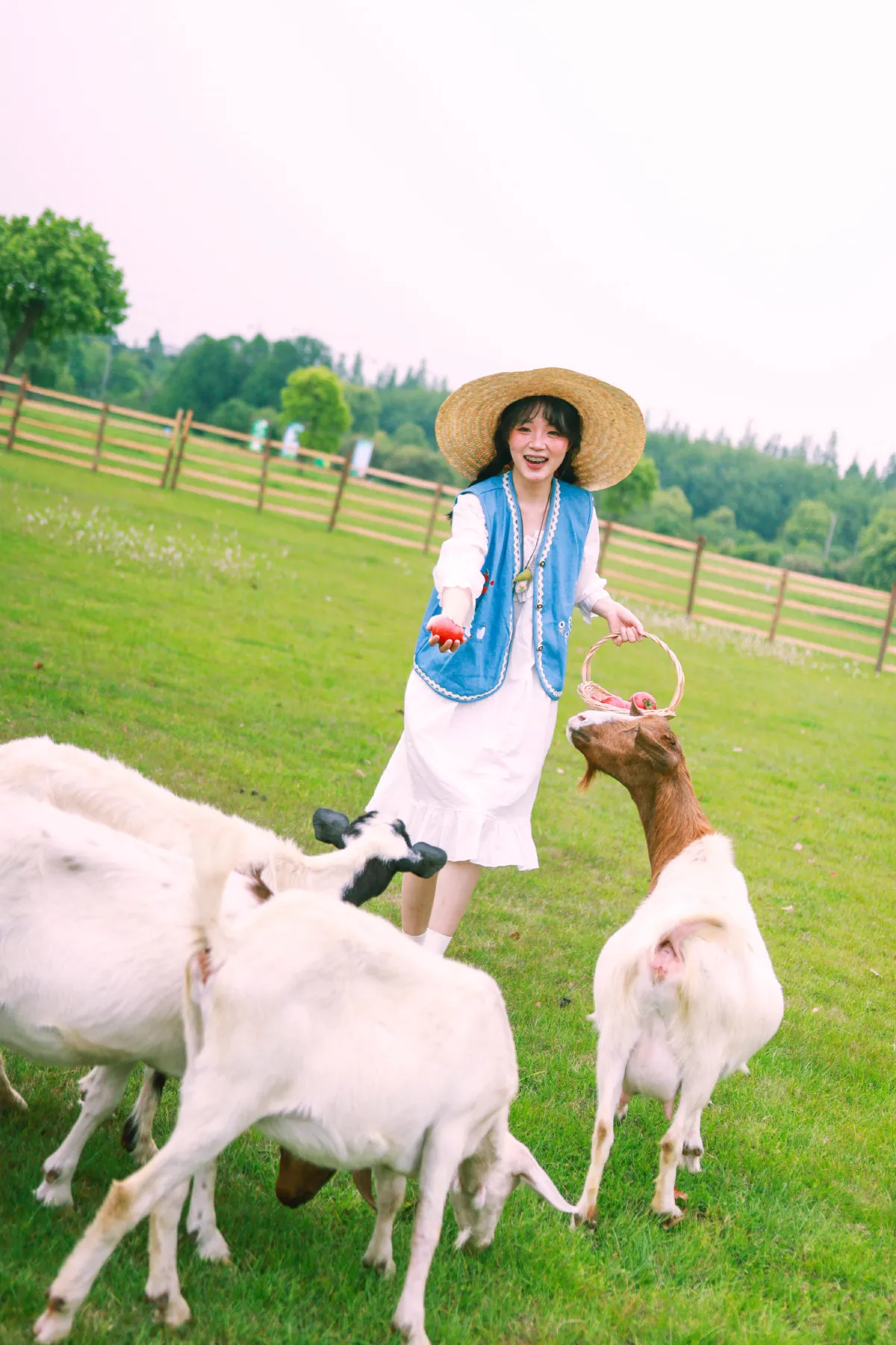 农场主的女儿1