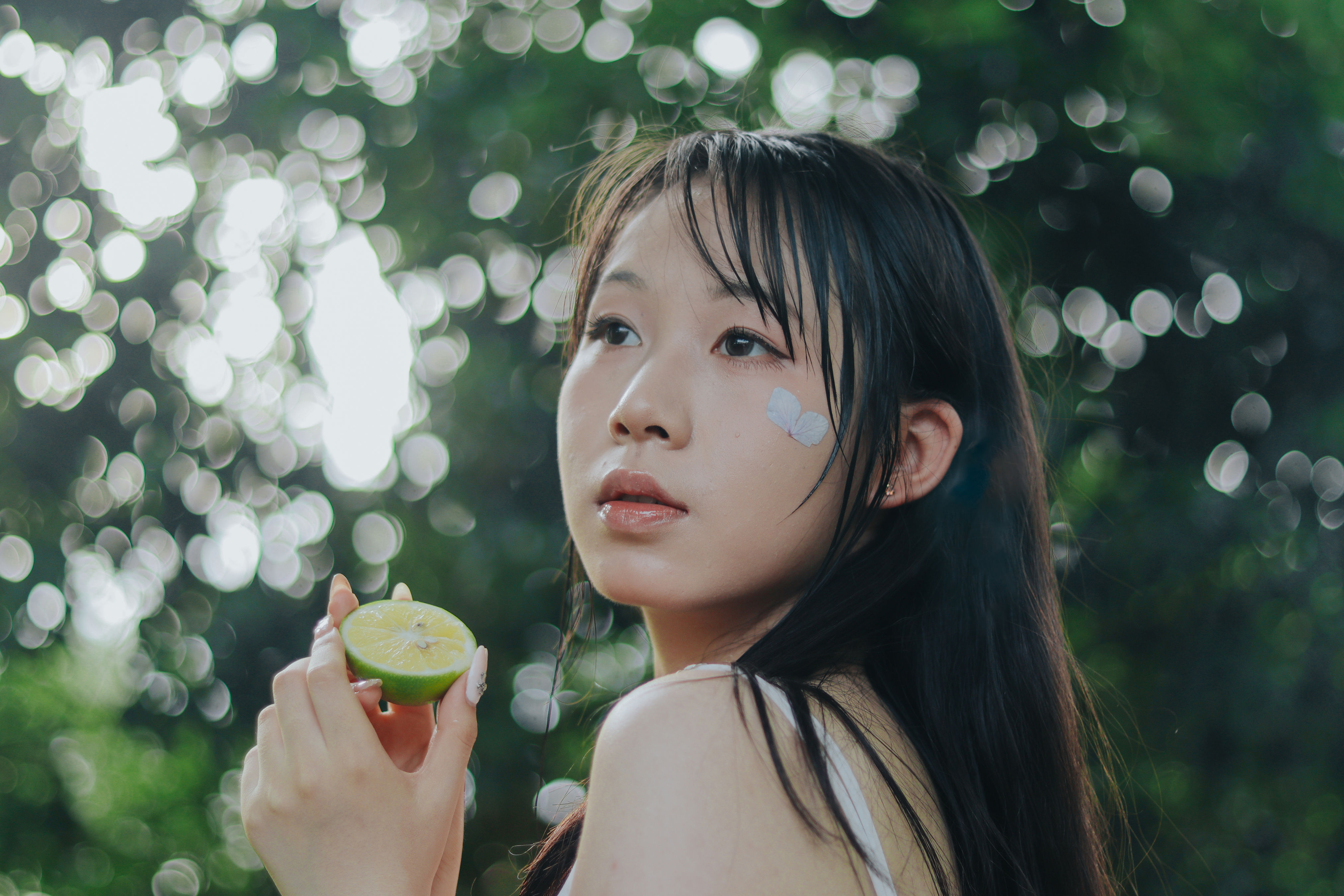 雨中绣球1