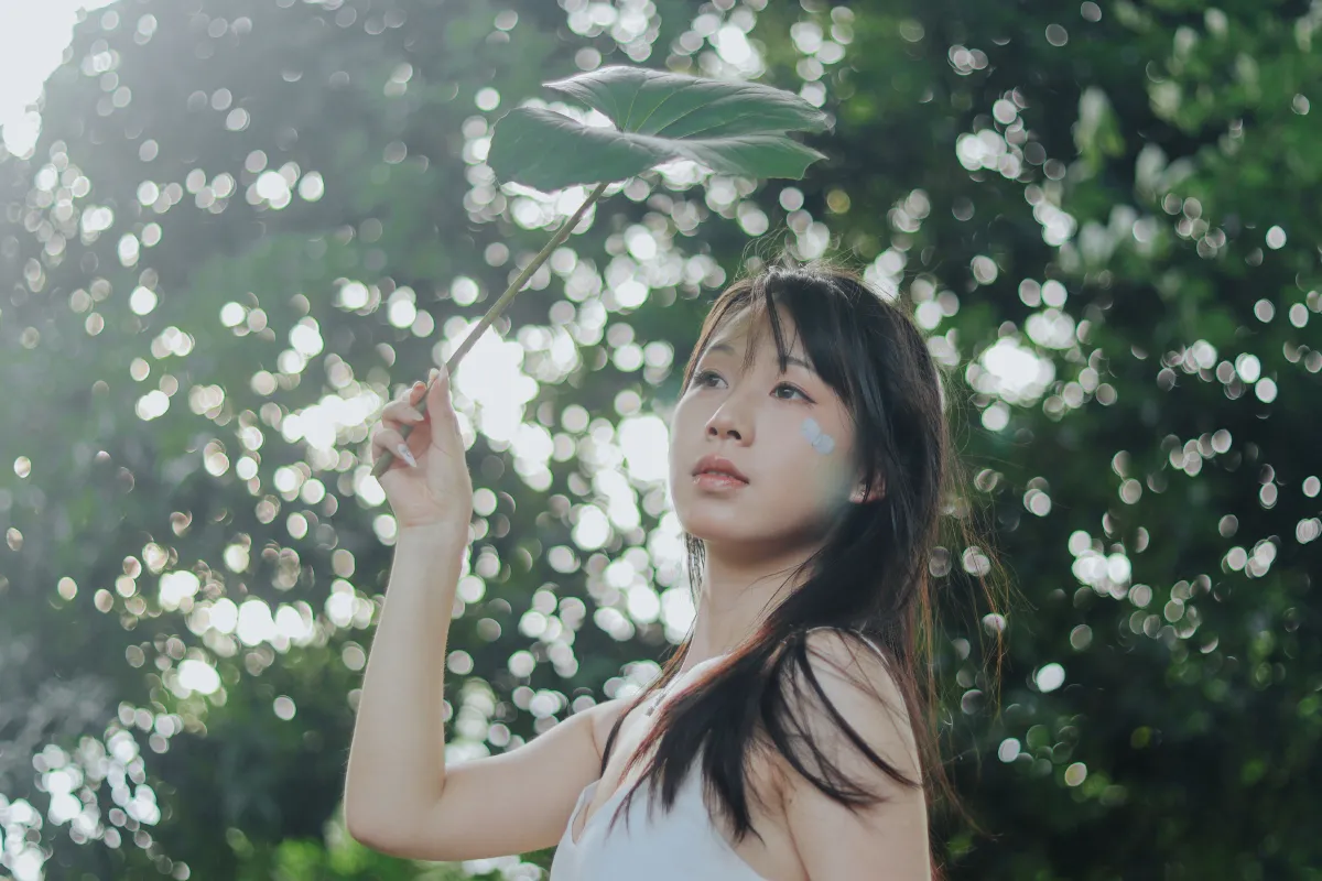 雨中绣球2