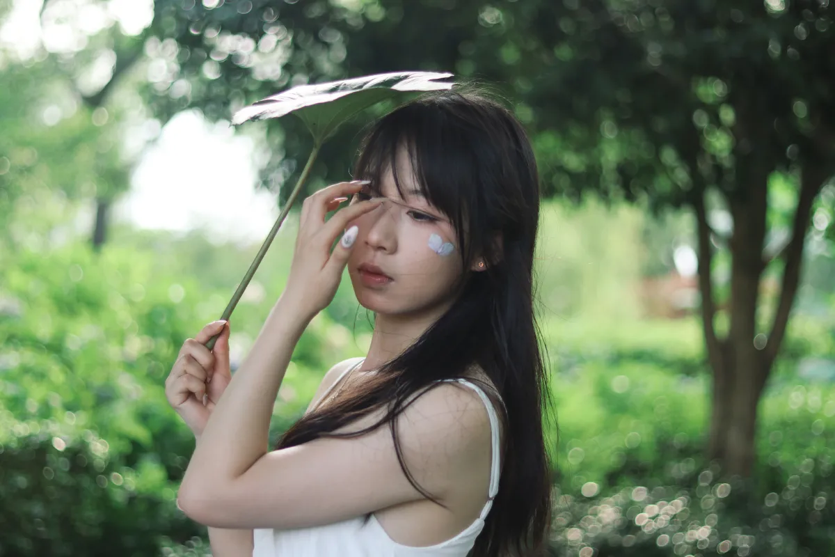 雨中绣球3