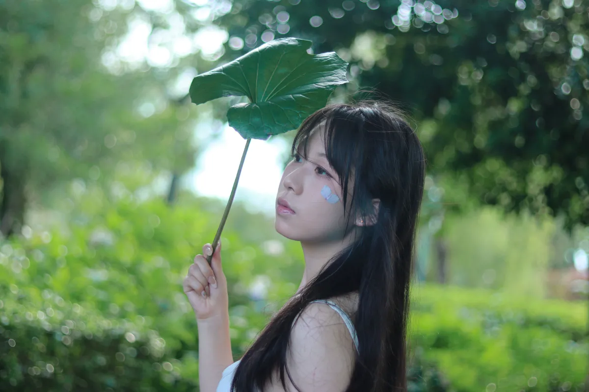 雨中绣球4