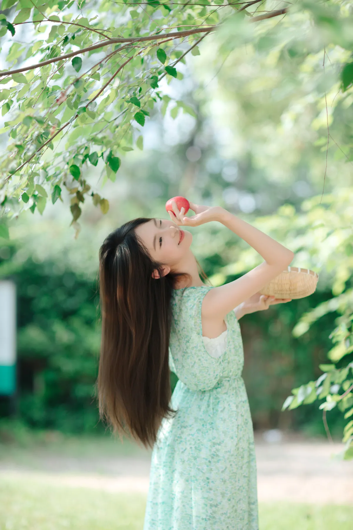 清新夏日2