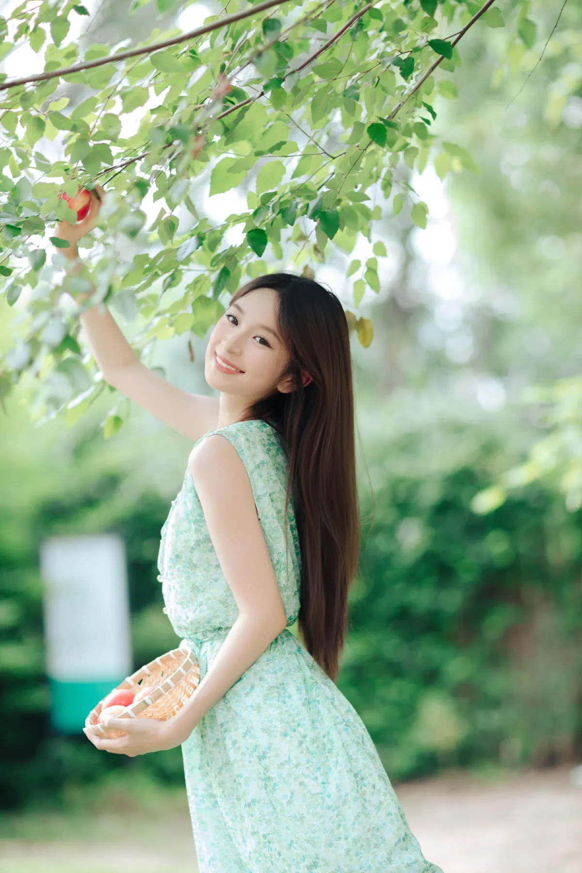 清新夏日3