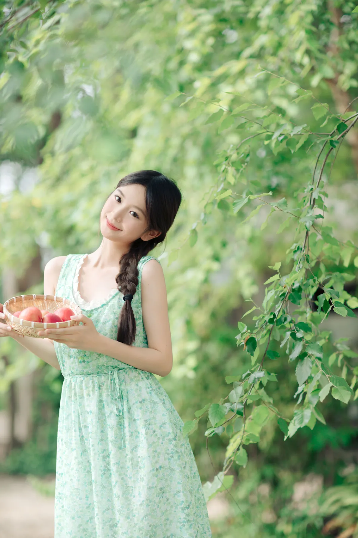 清新夏日5