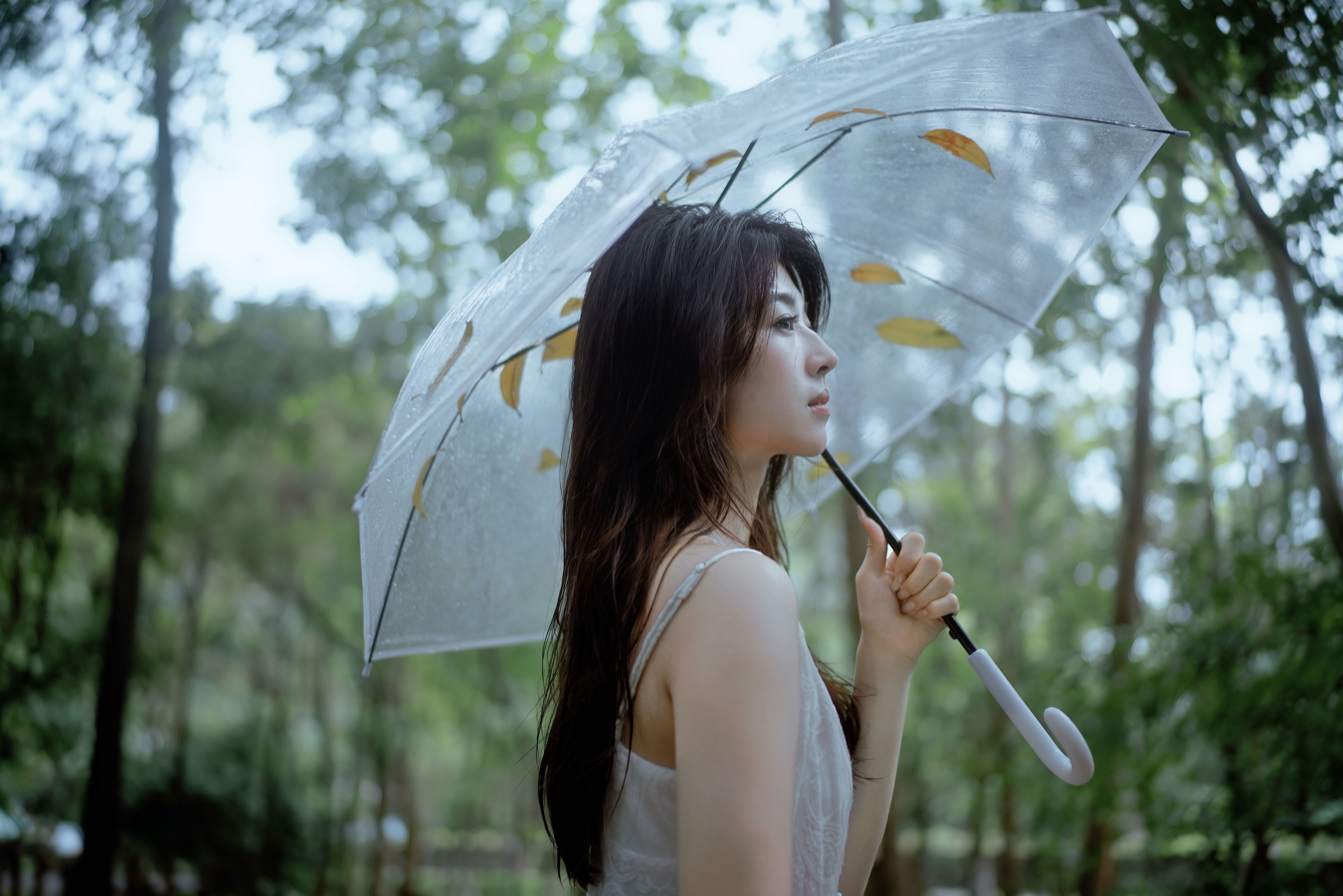 雨落林间，邂逅白裙仙子1