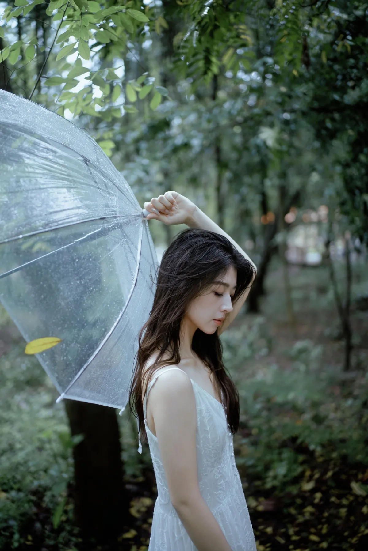雨落林间，邂逅白裙仙子2