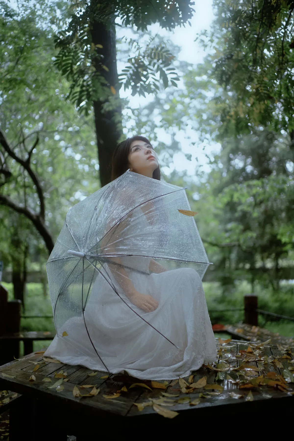 雨落林间，邂逅白裙仙子4