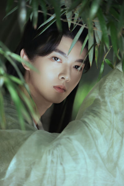 醉卧听竹