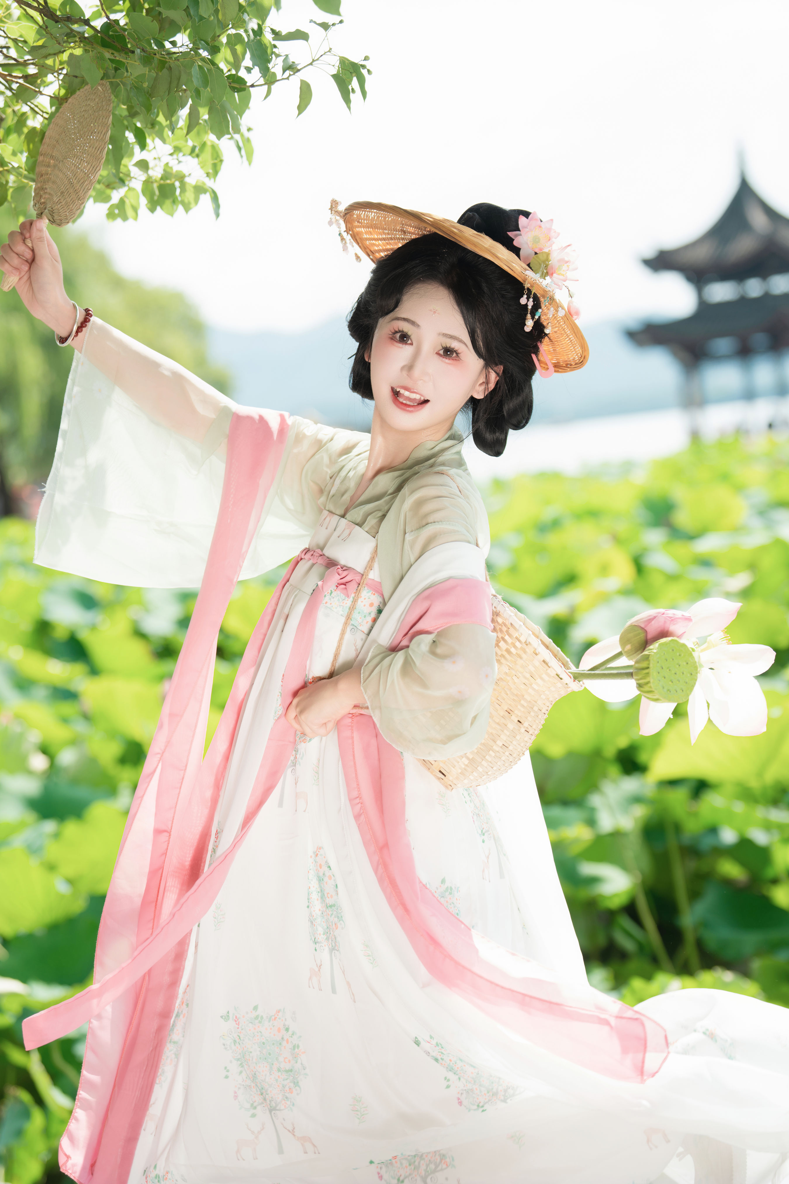 夏日荷花1