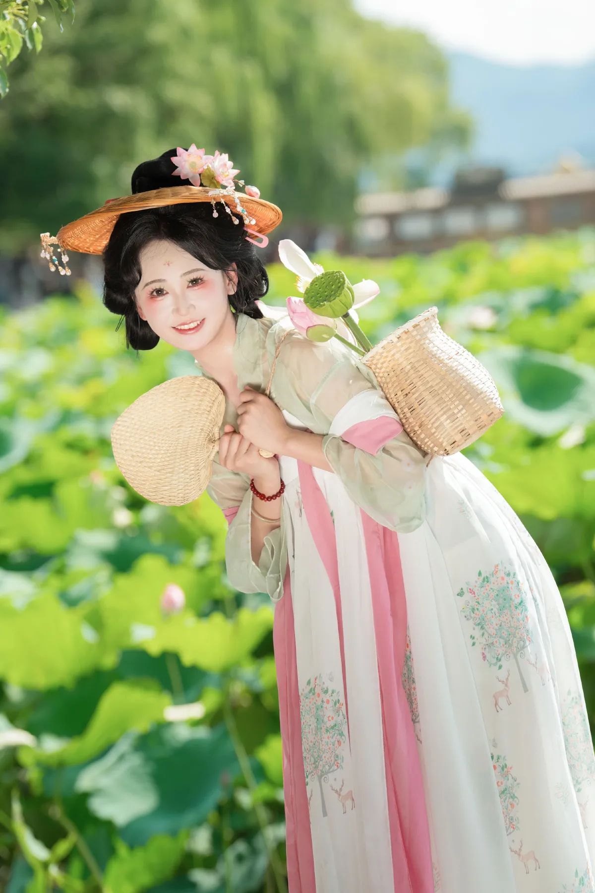 夏日荷花2