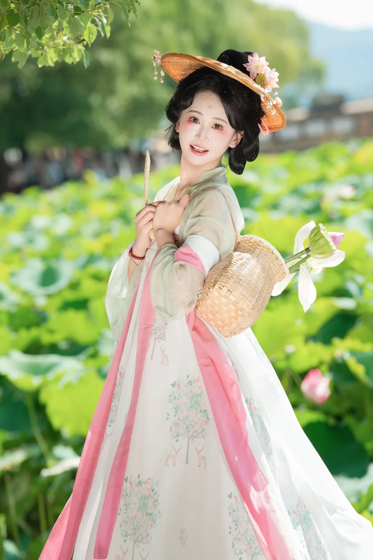 夏日荷花3