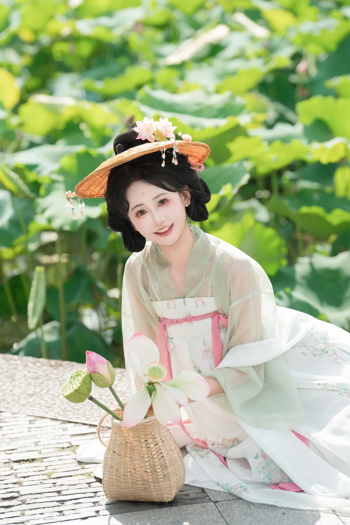 夏日荷花5