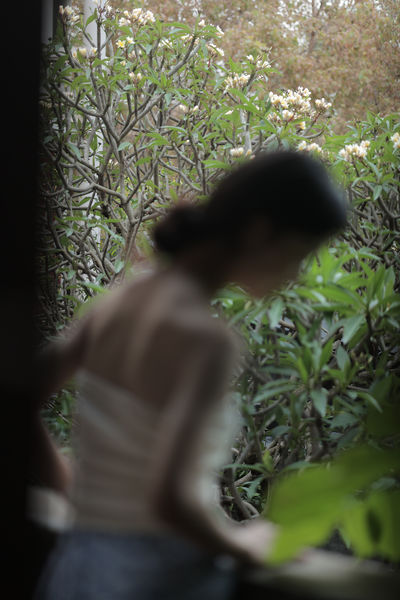 花期漫长