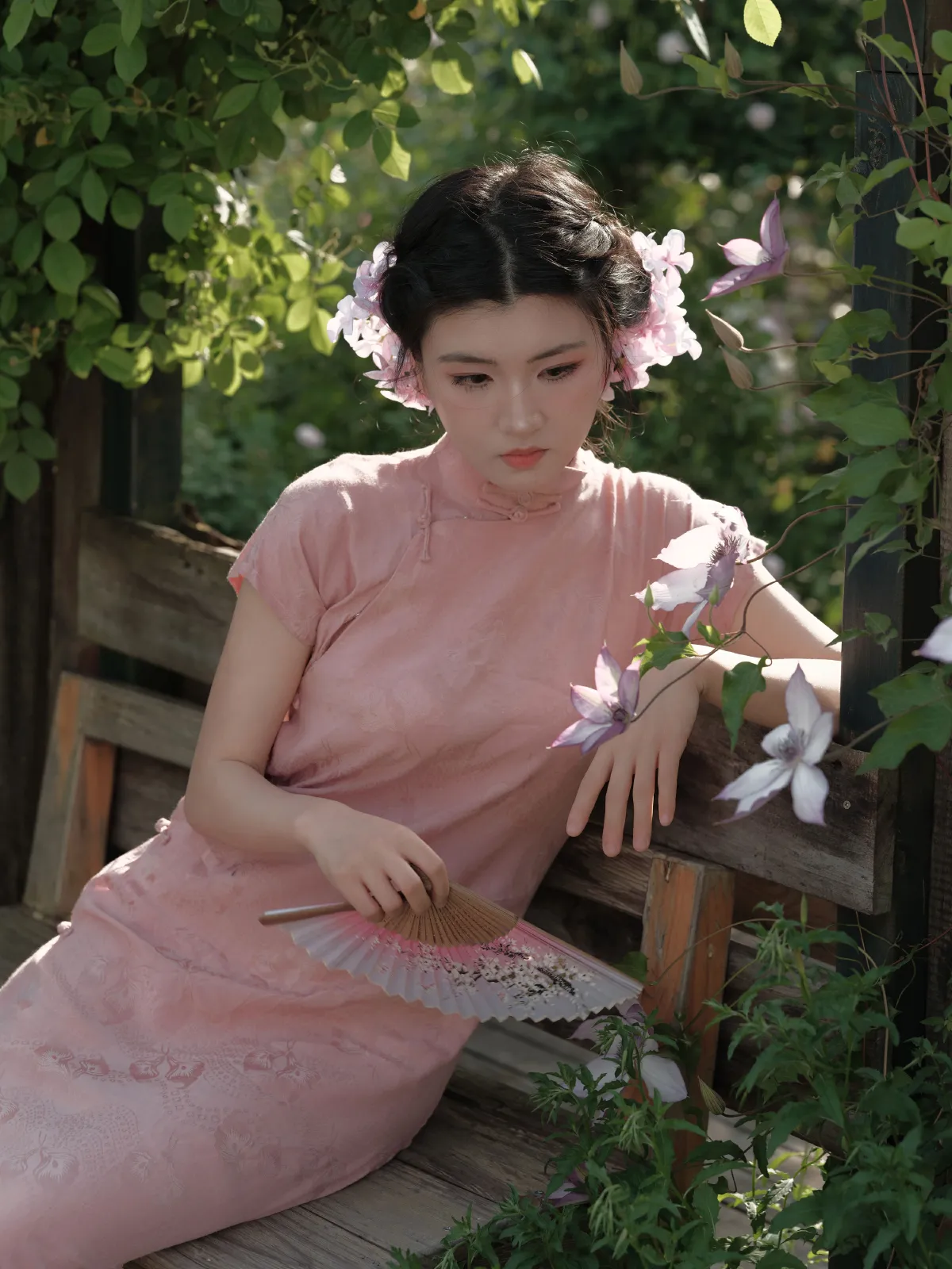 月季2