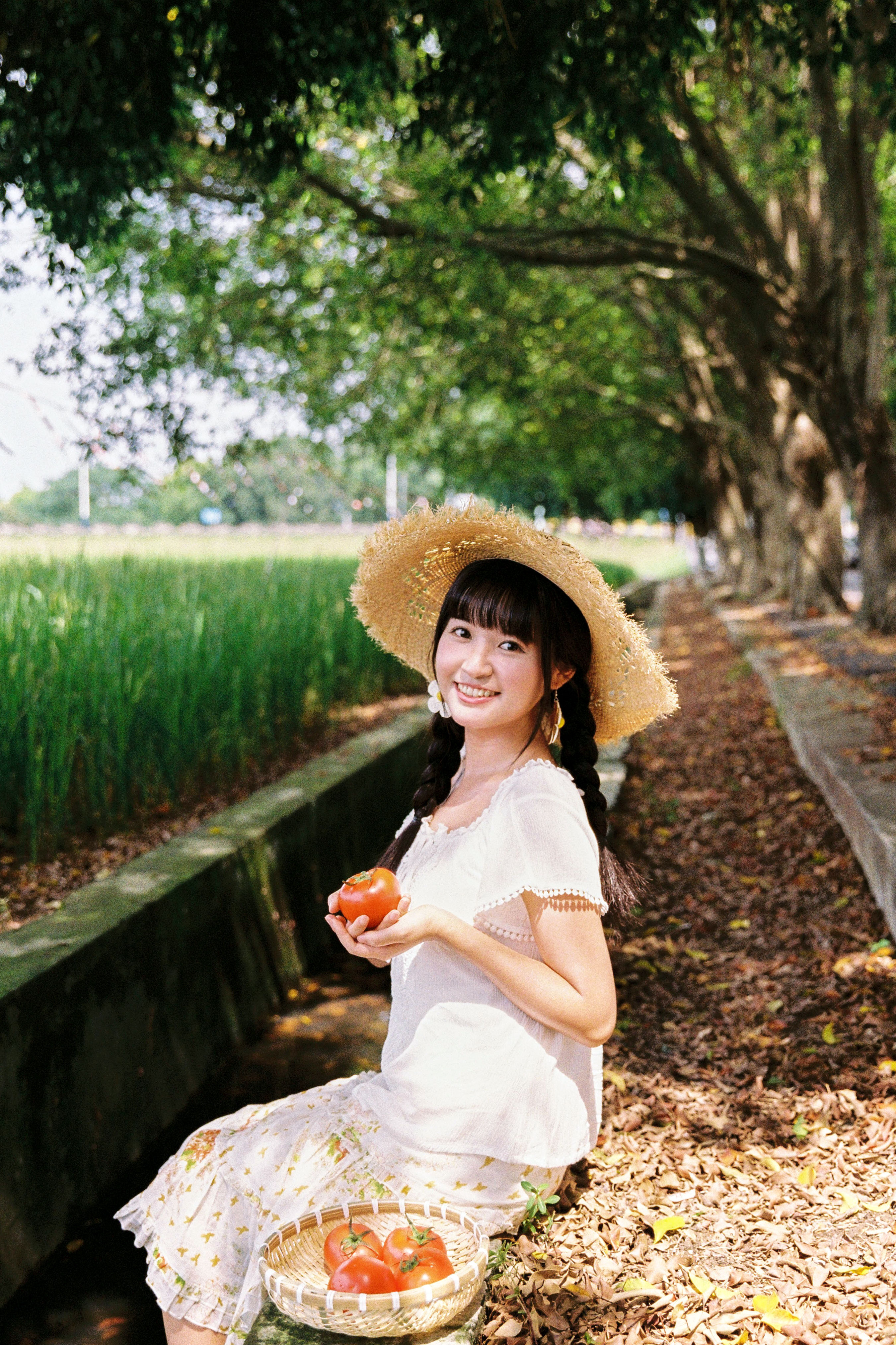 我喜欢的盛夏1