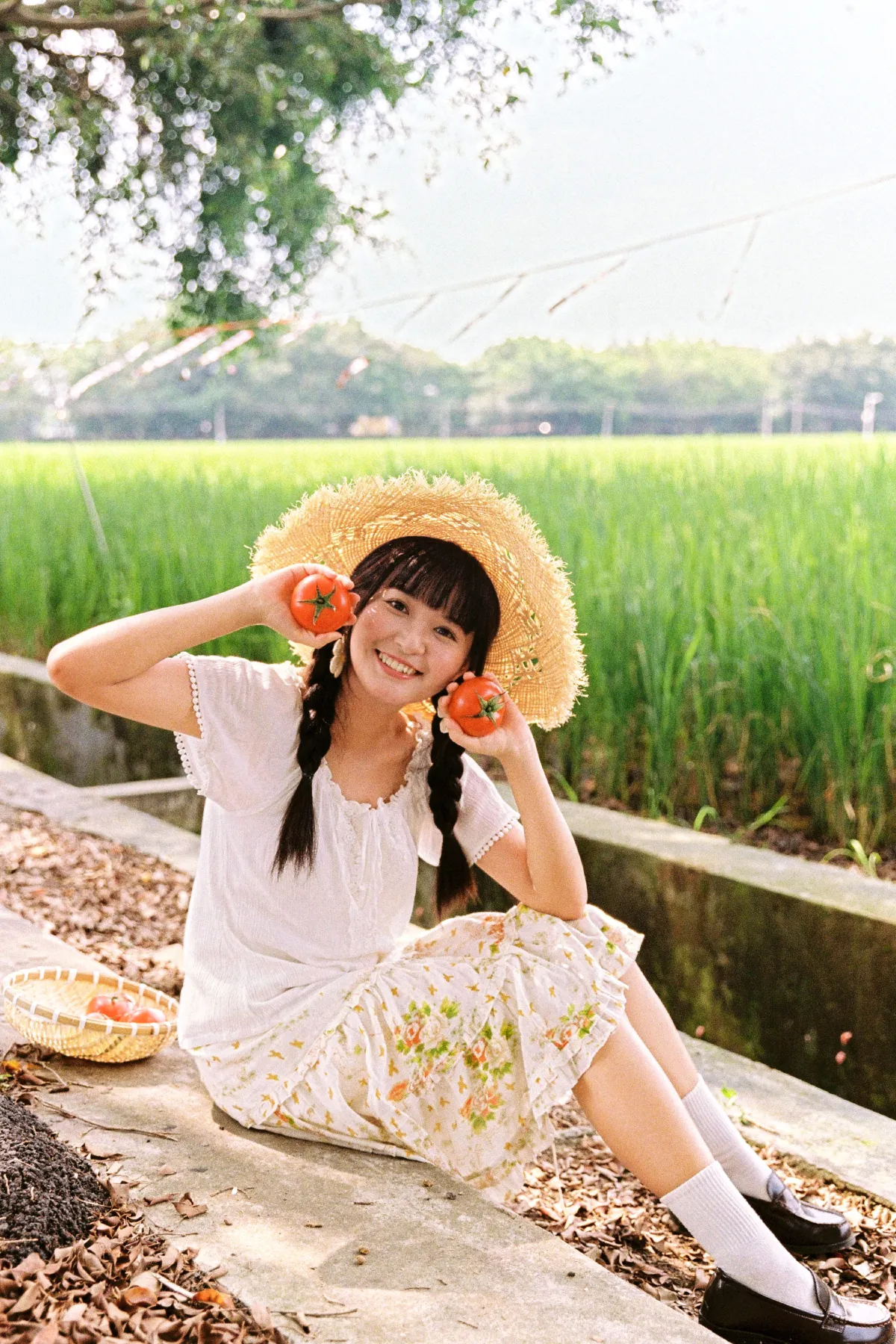 我喜欢的盛夏4