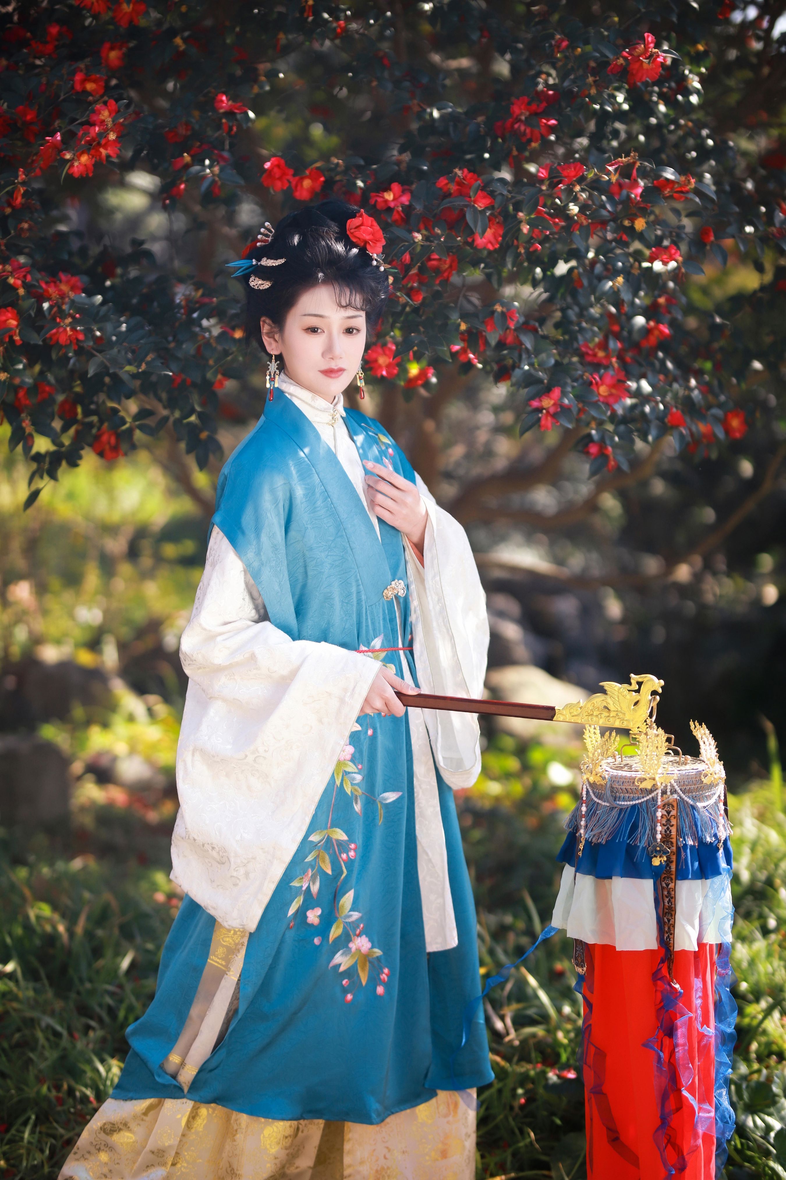 山茶花开1