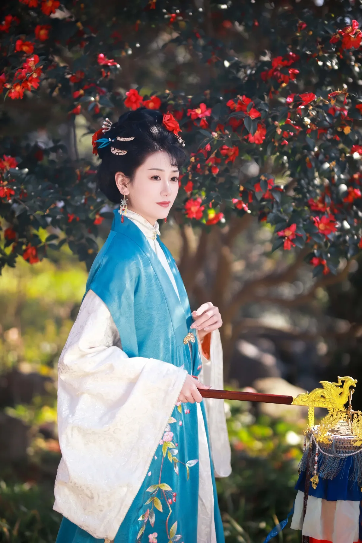 山茶花开2