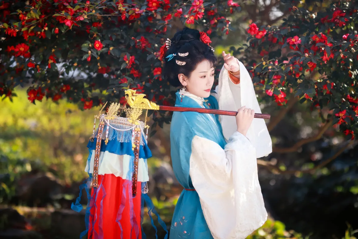 山茶花开3