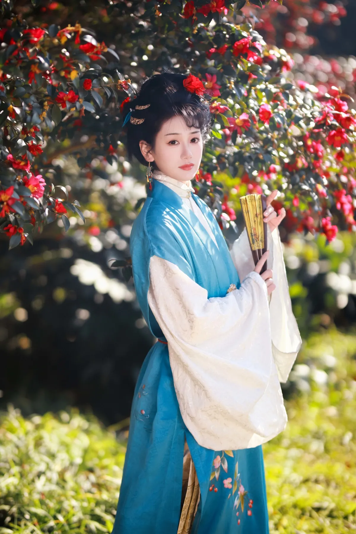 山茶花开4