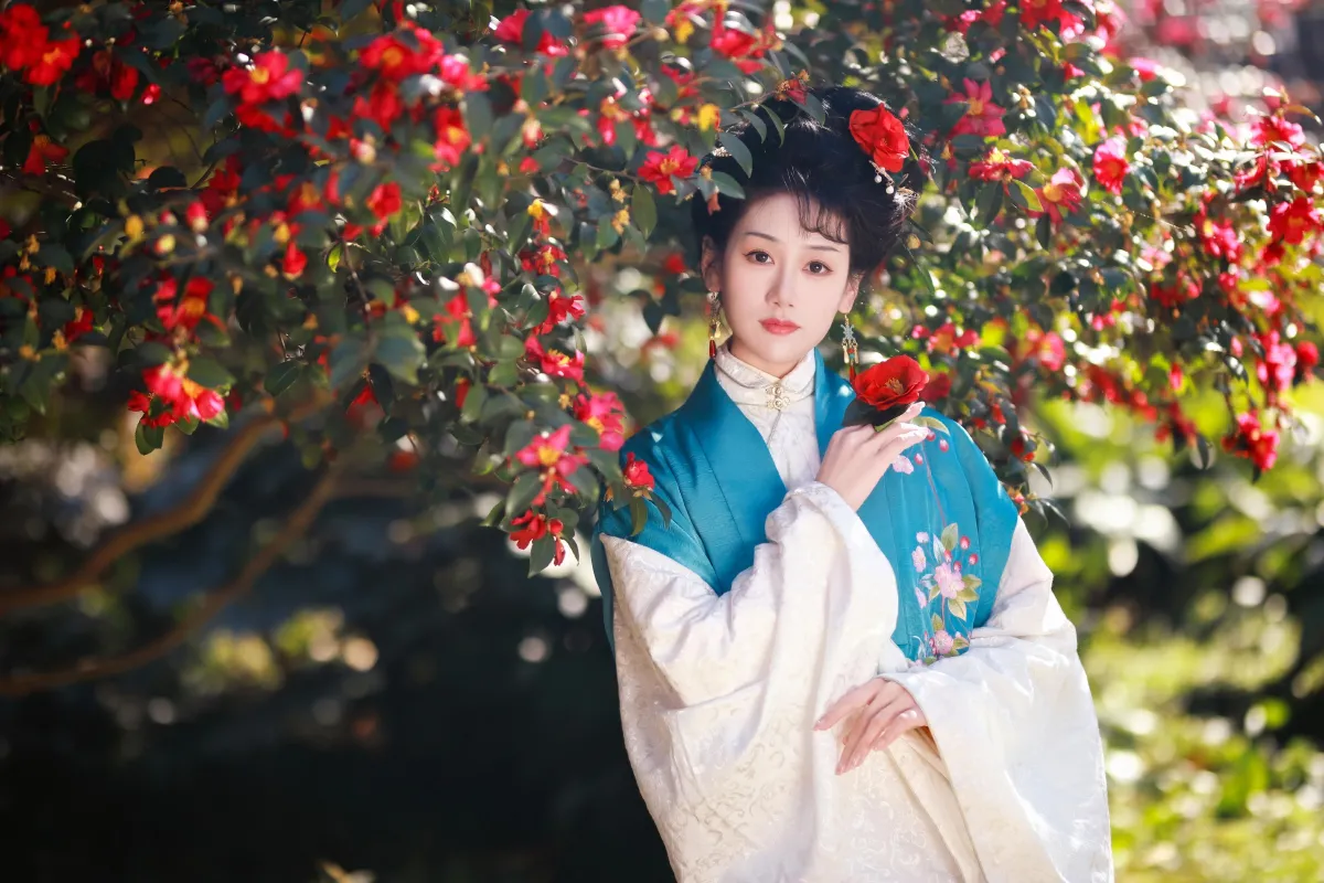山茶花开5