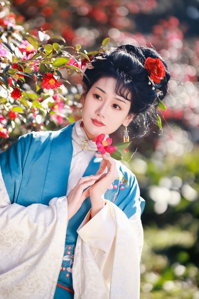 山茶花开
