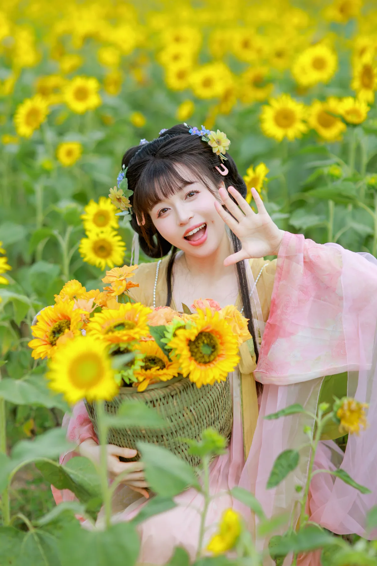 这片向日葵已经被本小姐承包了！1