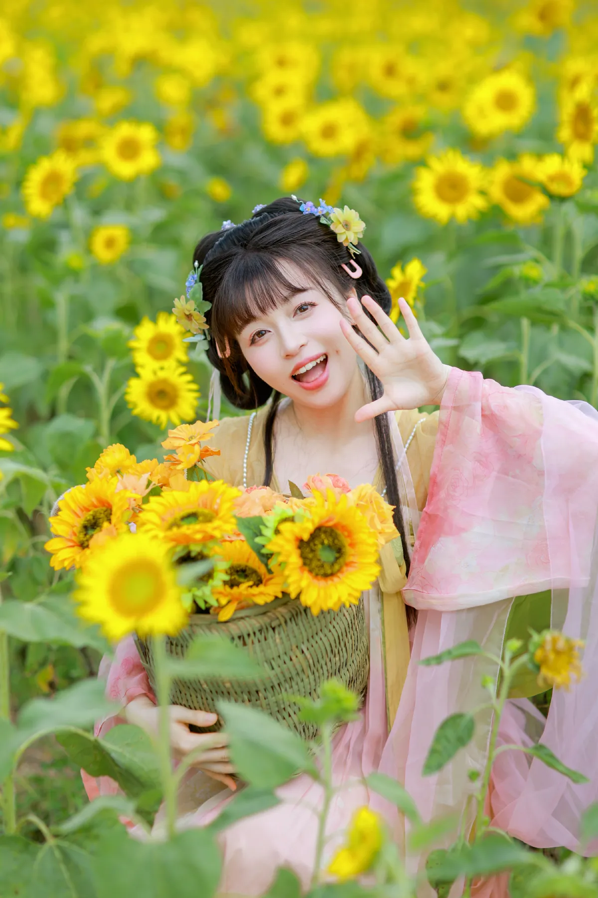 这片向日葵已经被本小姐承包了！1