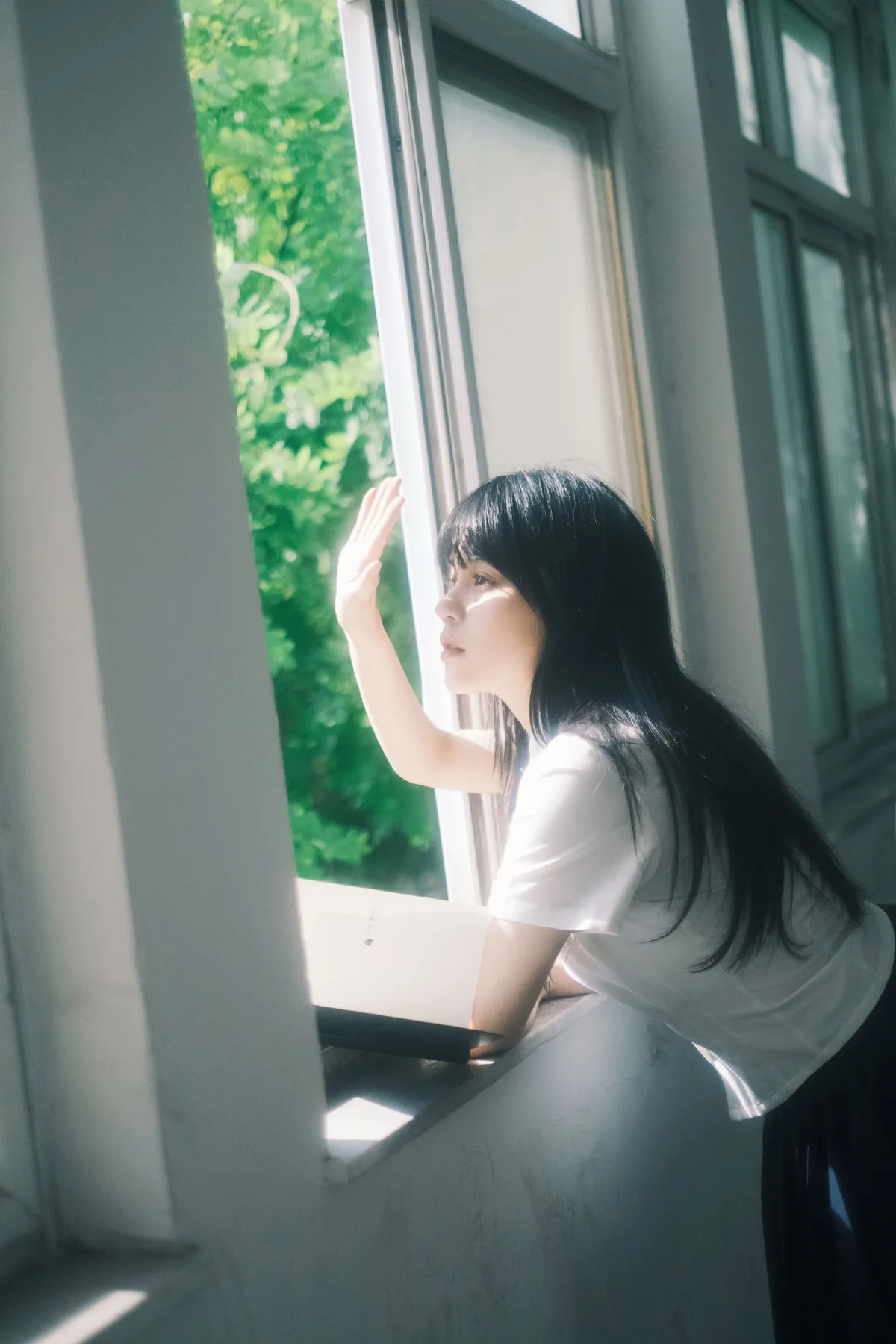 窗5