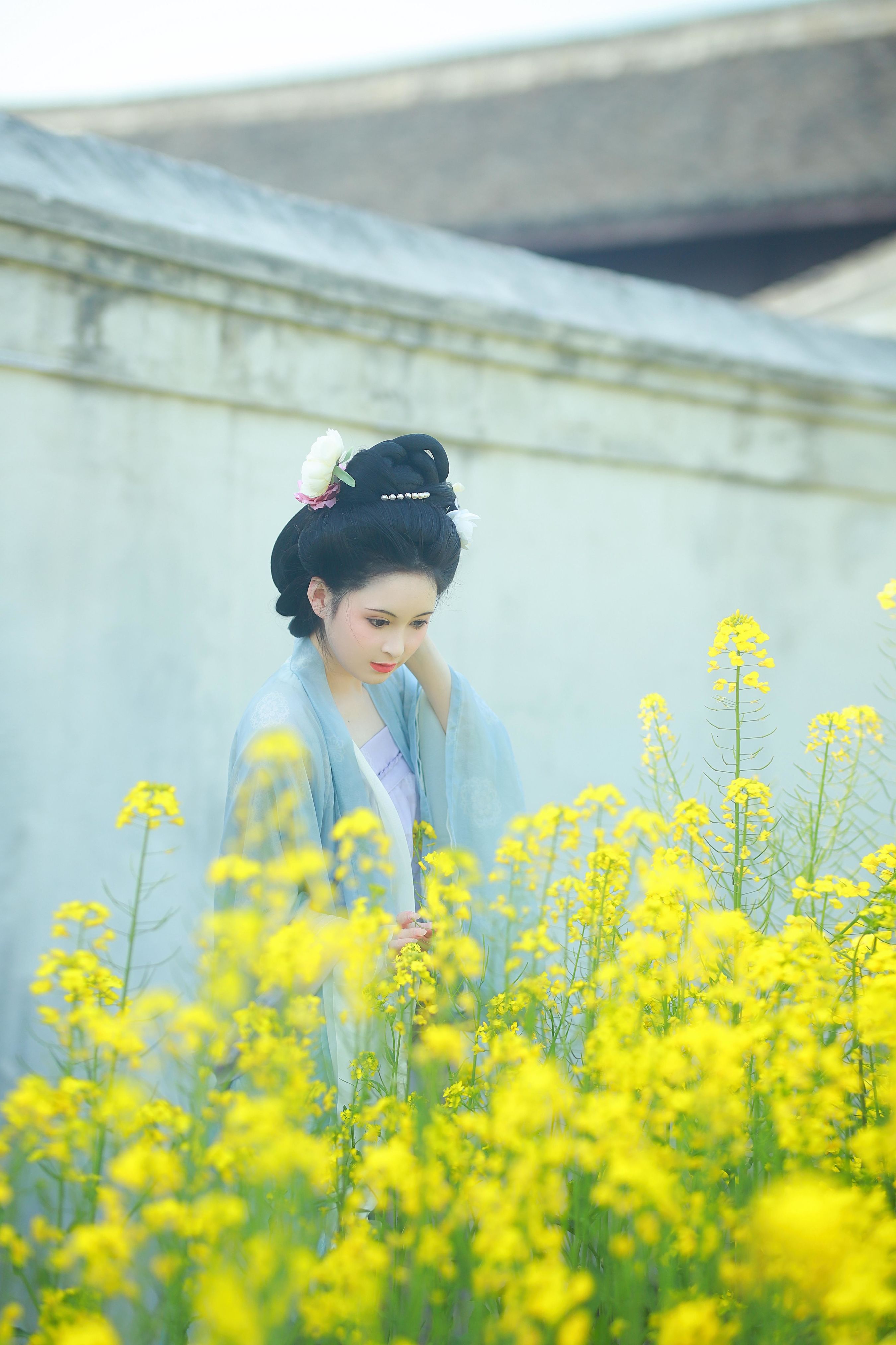 唐风写真油菜花1